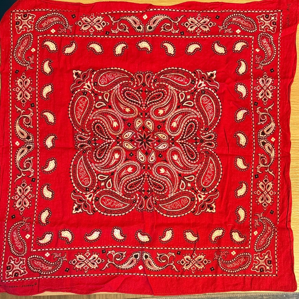 Vintage 1980 Benadryl Promo Red Paisley Bandana Warner-Lambert.